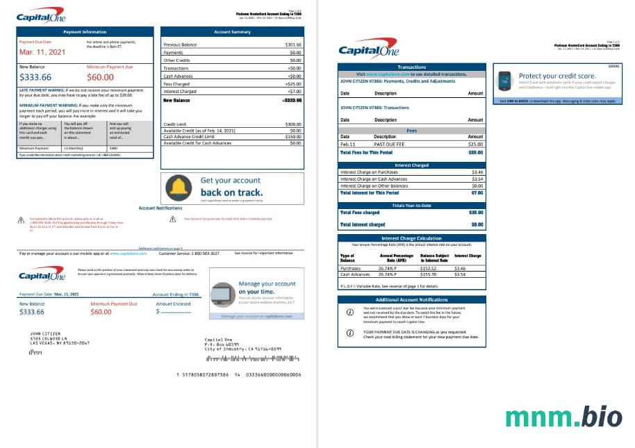 Szablon wyciągu bankowego USA Capital One w formacie Excel i PDF (2 strony) Wersja 3